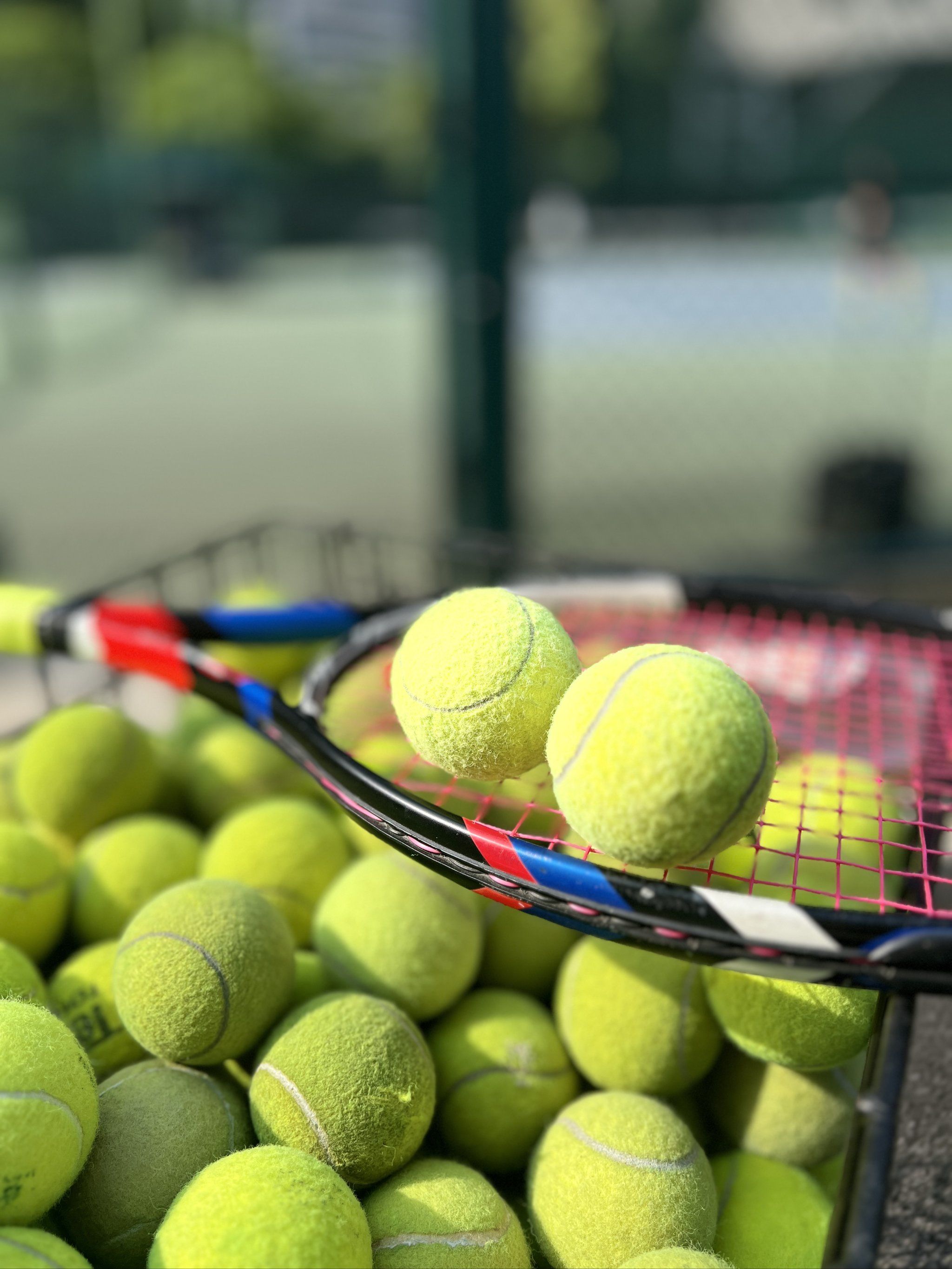 他目瞪口呆 他目瞪口呆